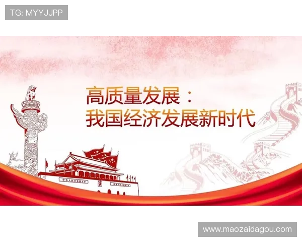 新时代奋进力量优秀青年企业家引领创新驱动高质量发展新篇章 新时代奋进力量优秀青年企业家引领创新驱动高质量发展新篇章